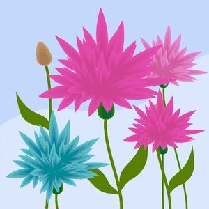 Meet your Posher, Jane